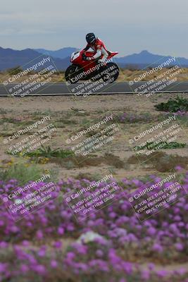 media/Jan-14-2023-SoCal Trackdays (Sat) [[497694156f]]/Turn 14 Exit Bloomig (145pm)/